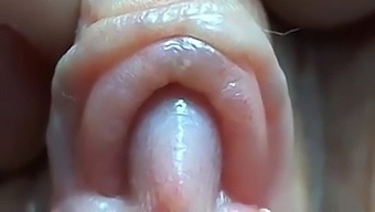 Intense Close-Up Of A Pussy And Its Sensitive Nub