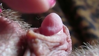 Intense Close-Up Of My Pulsating Big Clit Head